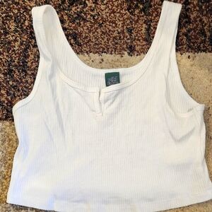 Wild Fable crop top